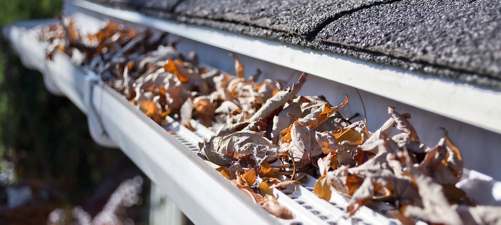 Gutter guards preventing fall leaves from clogging gutter.