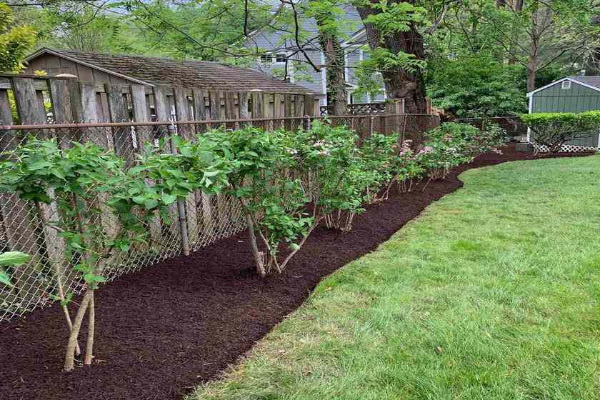 edging and mulch
