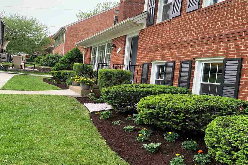 front yard garden bed