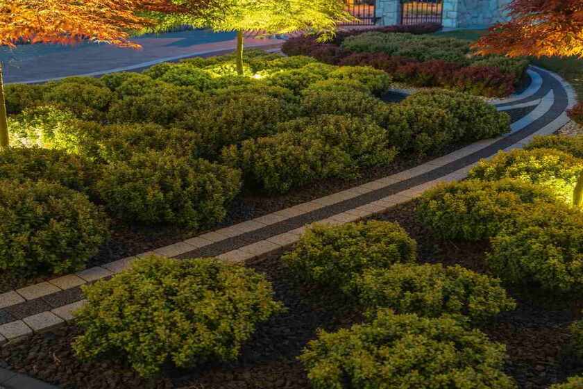 landscaping services with walkway