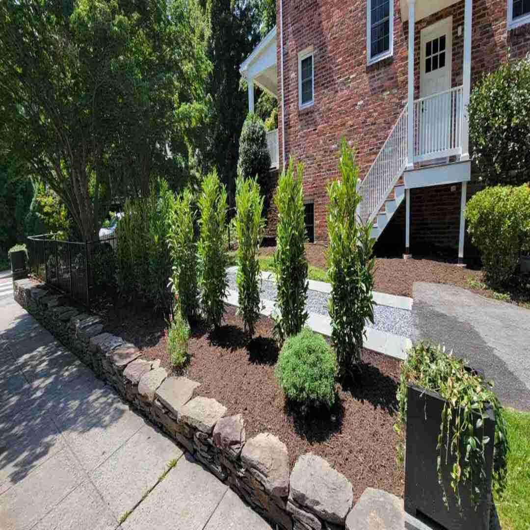 landscaping design