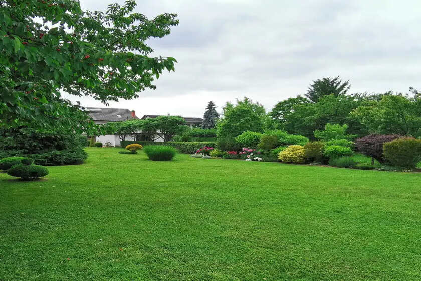 lawn care services