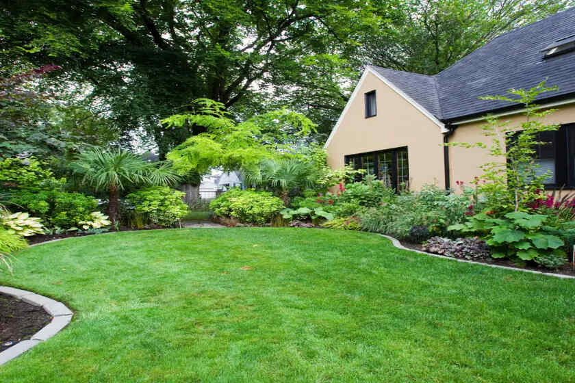 lawn maintenance