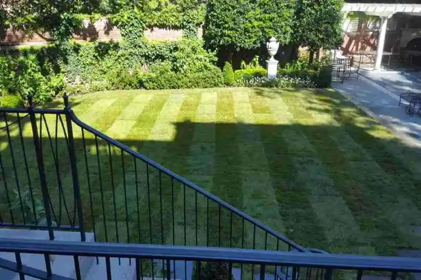 lawn maintenance