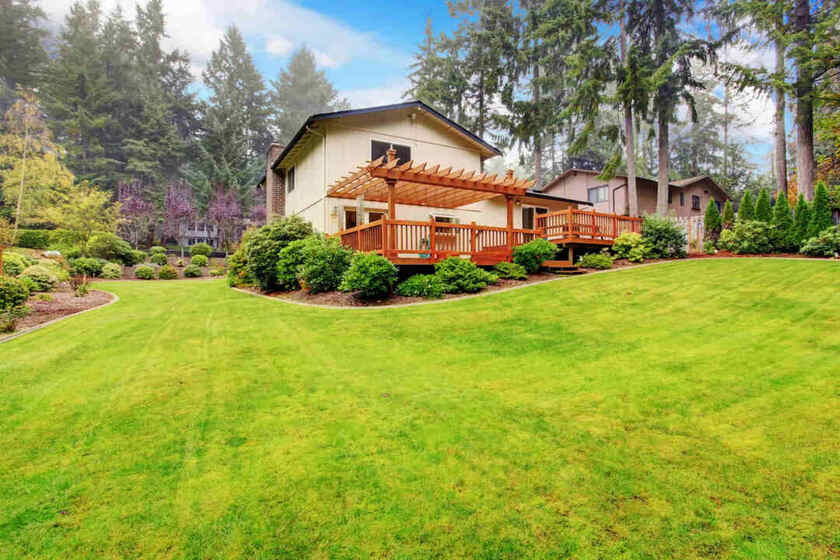 big lawn with landscaping services