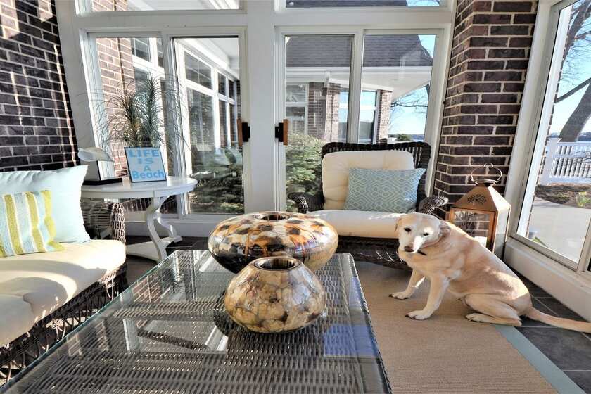 screened porch with dog