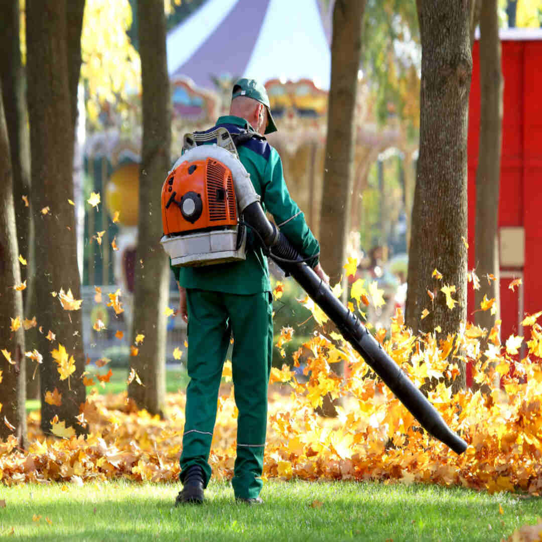 seasonal clean up