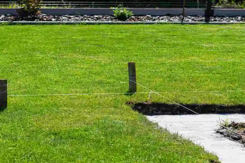 sod installation