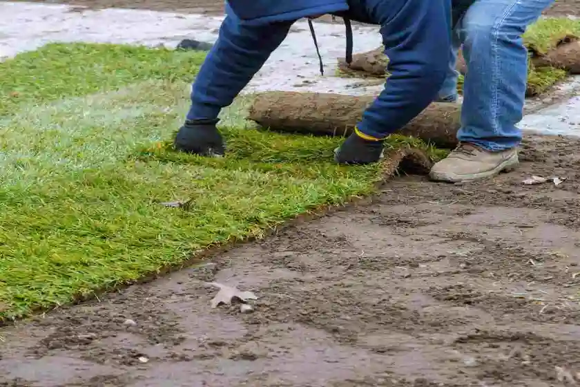 sod installers