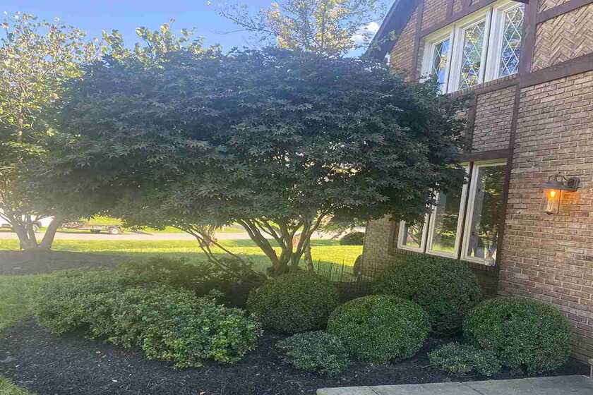 trimming and hedging